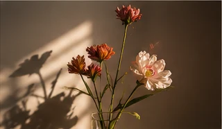 Flores iluminadas por luz lateral e sombras