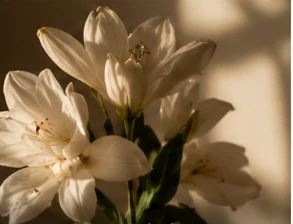 Composição artística de flores com luz lateral